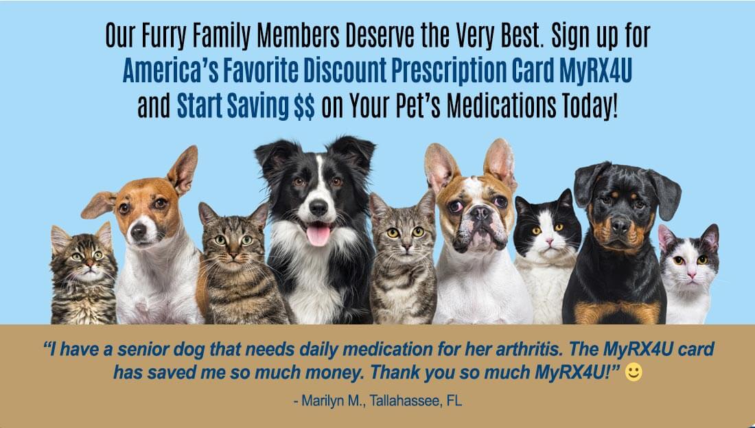Our furry family members deserve the very best. Sign up for America’s favorite discount prescription card MyRX4U and start saving $$ on your pet’s medications today! Image of four dogs and five cats sitting together. “I have a senior dog that needs daily medication for her arthritis. The MyRX4U card has saved me so much money. Thank you so much MyRX4U!” Icon of smiling face. -Marilyn M., Tallahassee, FL